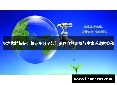 水之微粒探秘：揭示水分子如何影响自然现象与生命活动的奥秘