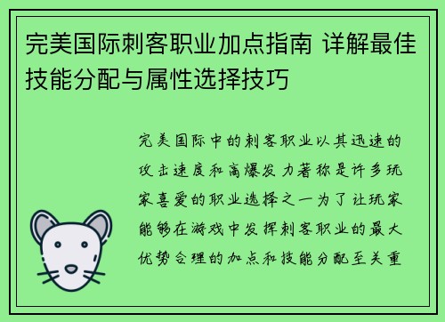 完美国际刺客职业加点指南 详解最佳技能分配与属性选择技巧