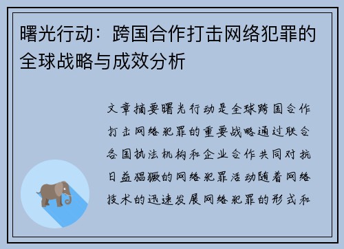 曙光行动：跨国合作打击网络犯罪的全球战略与成效分析